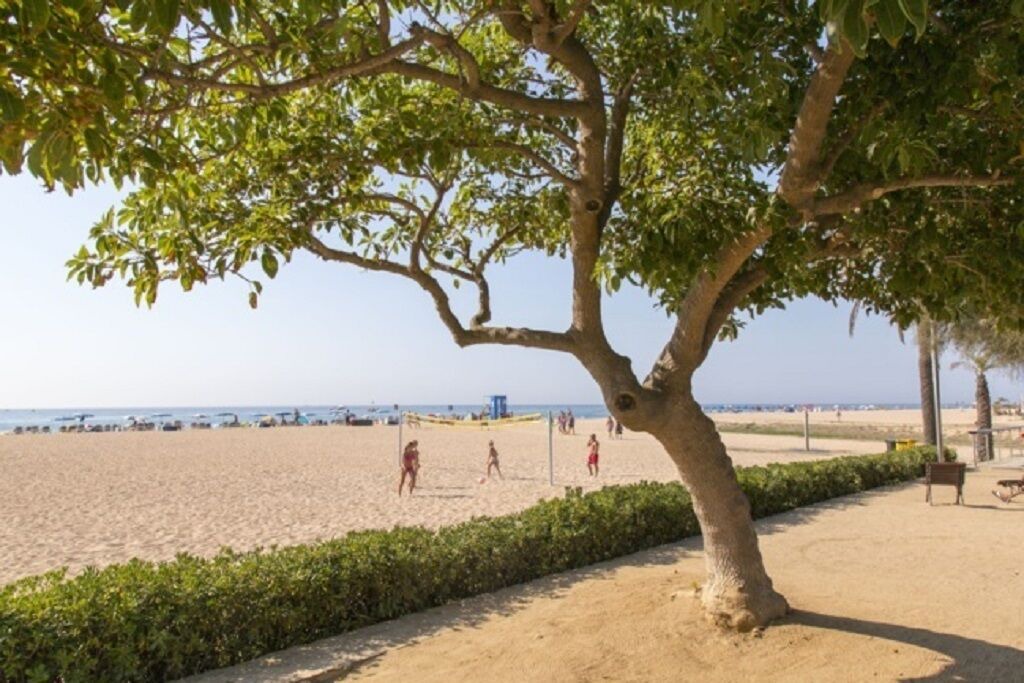 Photo of Others in Malgrat de Mar