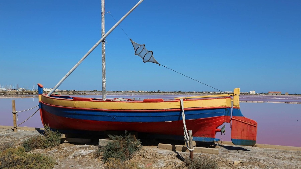 Photo of Others in Les Ayguades
