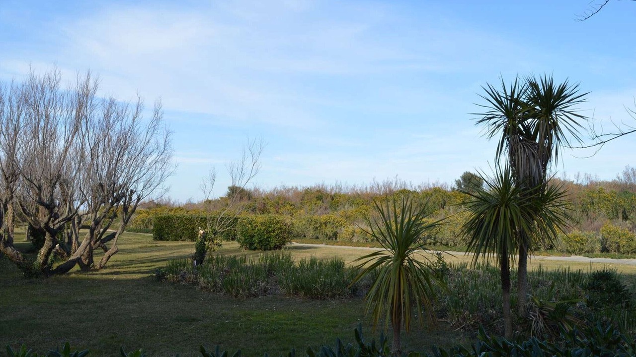 Photo of Outdoor in Saint-Cyprien Plage