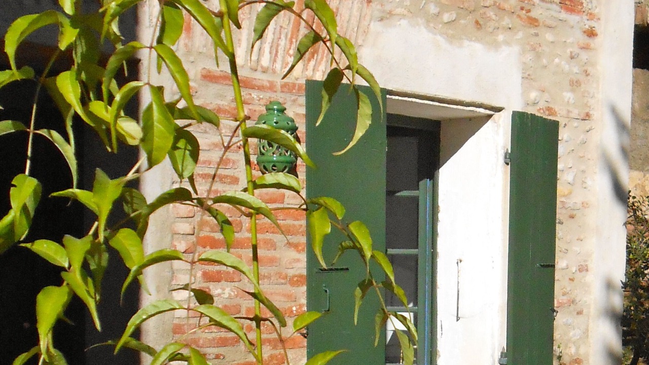 Photo of Outdoor in Alenya