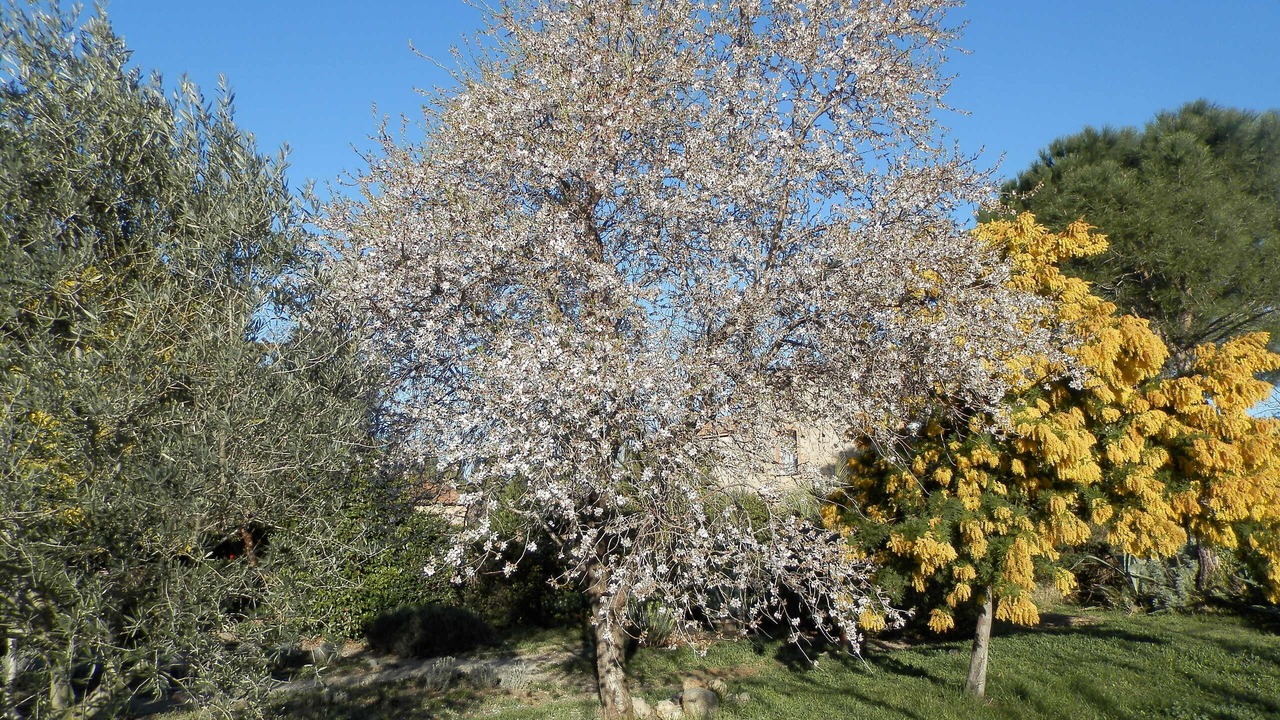 Photo of Outdoor in Camelas