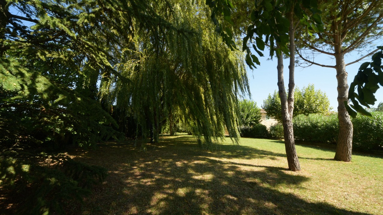 Photo of Outdoor in Roynac