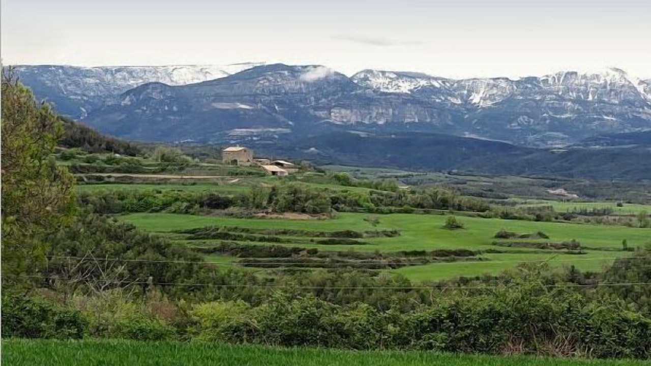 Photo of Others in Olius