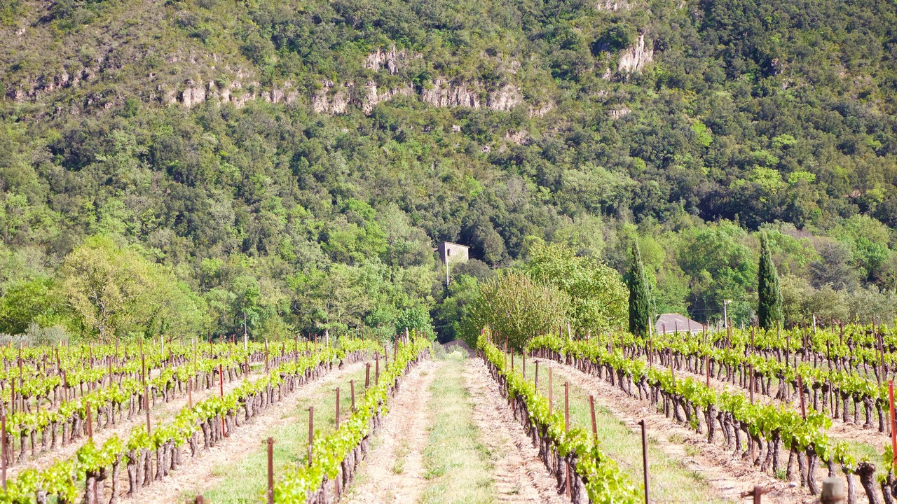 Photo of Outdoor in Villemagne-l'Argentiere