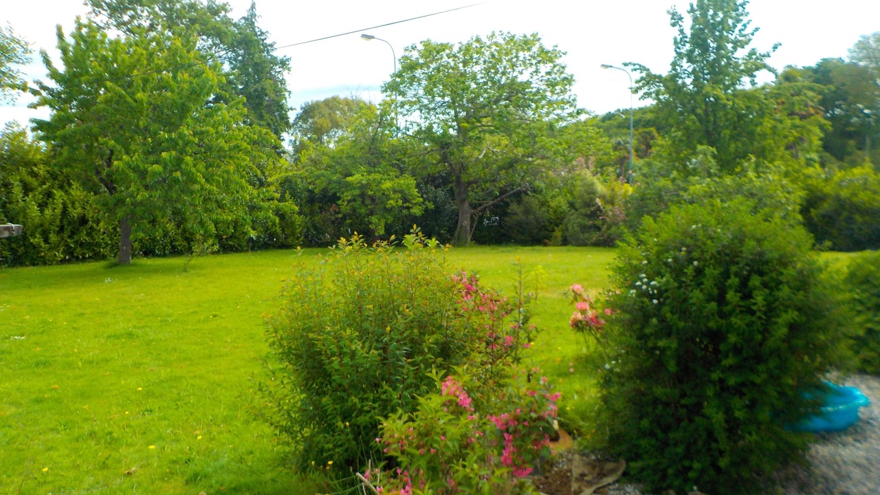 Photo of Outdoor in Saint-Martin-de-Seignanx