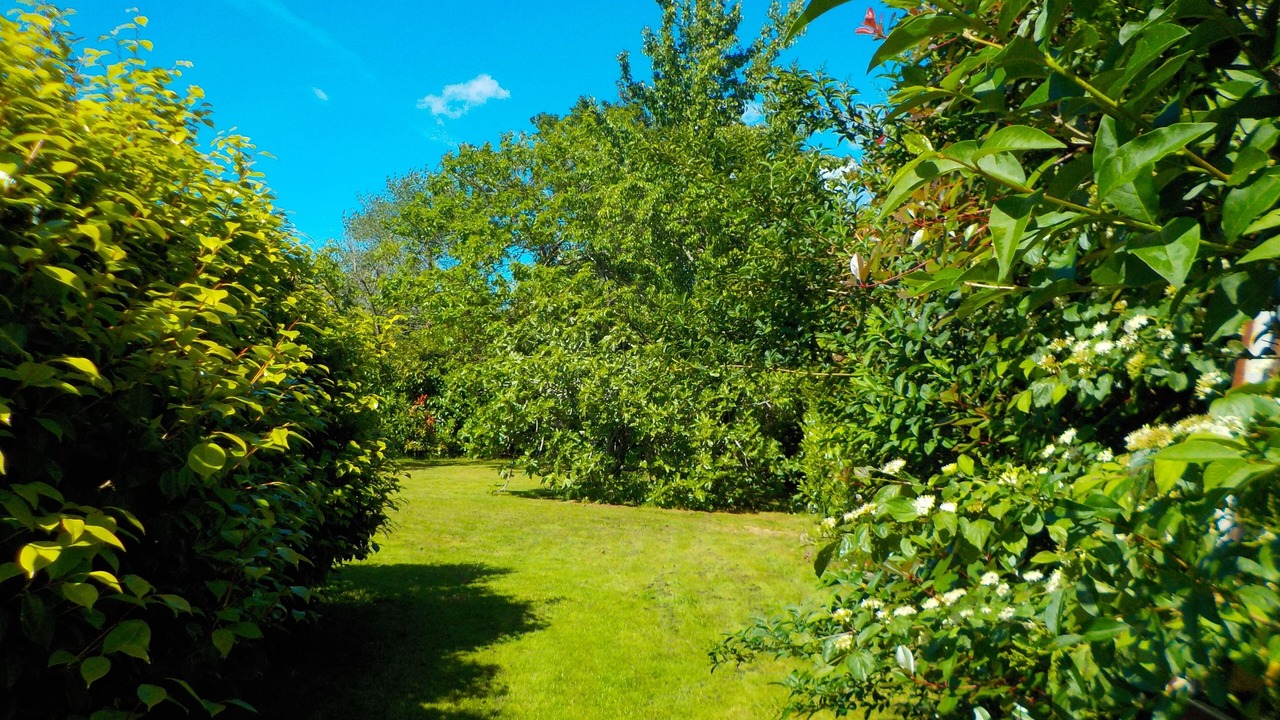 Photo of Outdoor in Saint-Martin-de-Seignanx