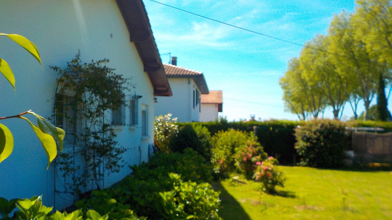 Photo of Outdoor in Saint-Martin-de-Seignanx