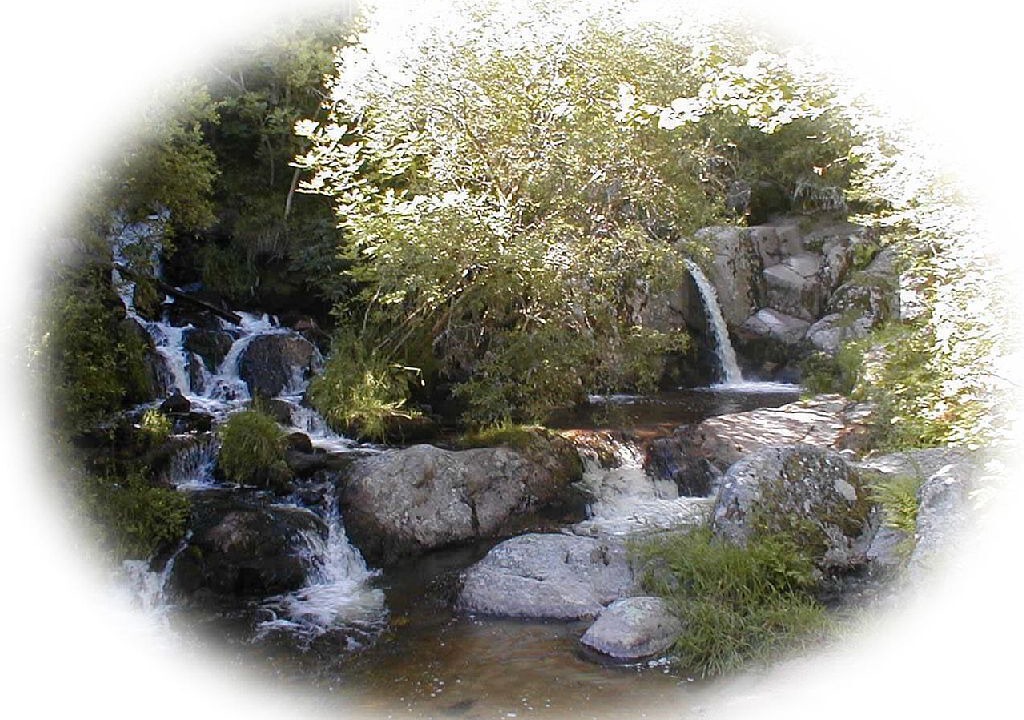 Photo of Outdoor in Blavignac