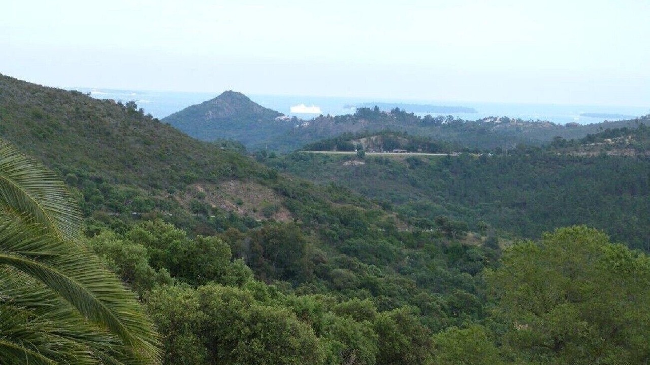 Photo of Others in St. Jean de l’Esterel