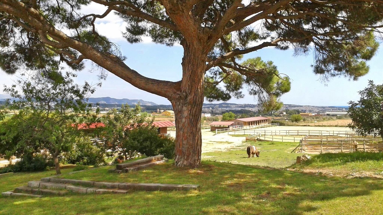 Photo of Outdoor in Vilanova I la Geltru