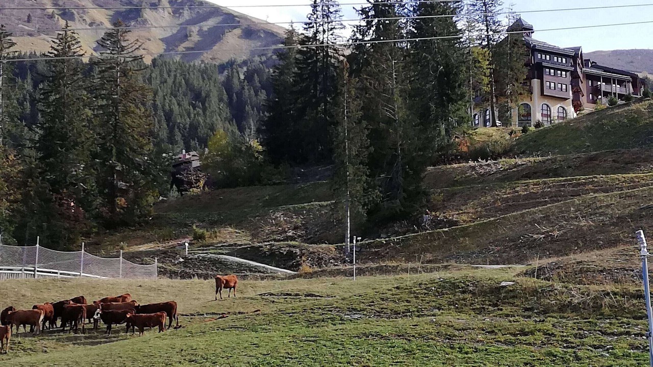 Photo of Others in Valmorel
