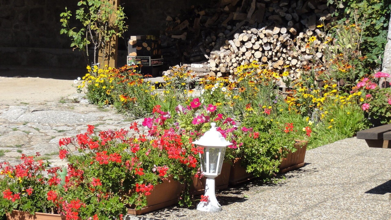 Photo of Outdoor in Le Malzieu-Forain