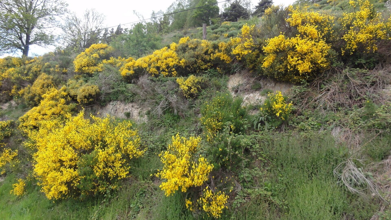 Photo of Outdoor in Le Malzieu-Forain