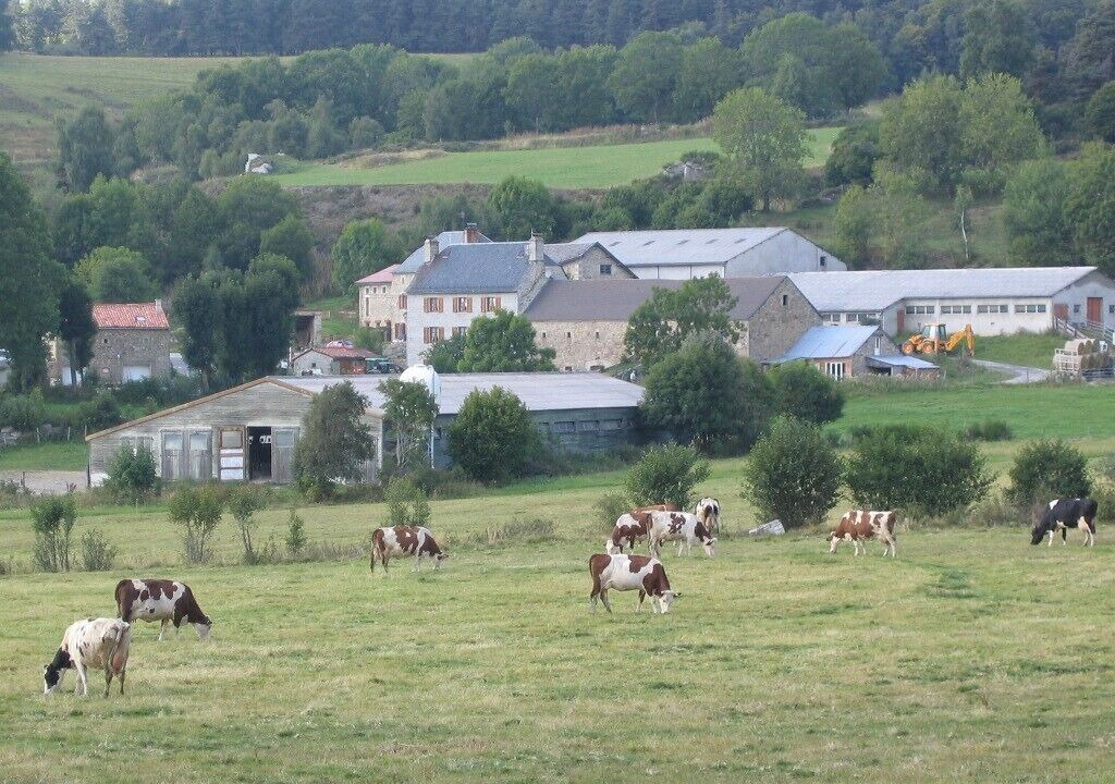 Photo of Outdoor in Le Malzieu-Forain