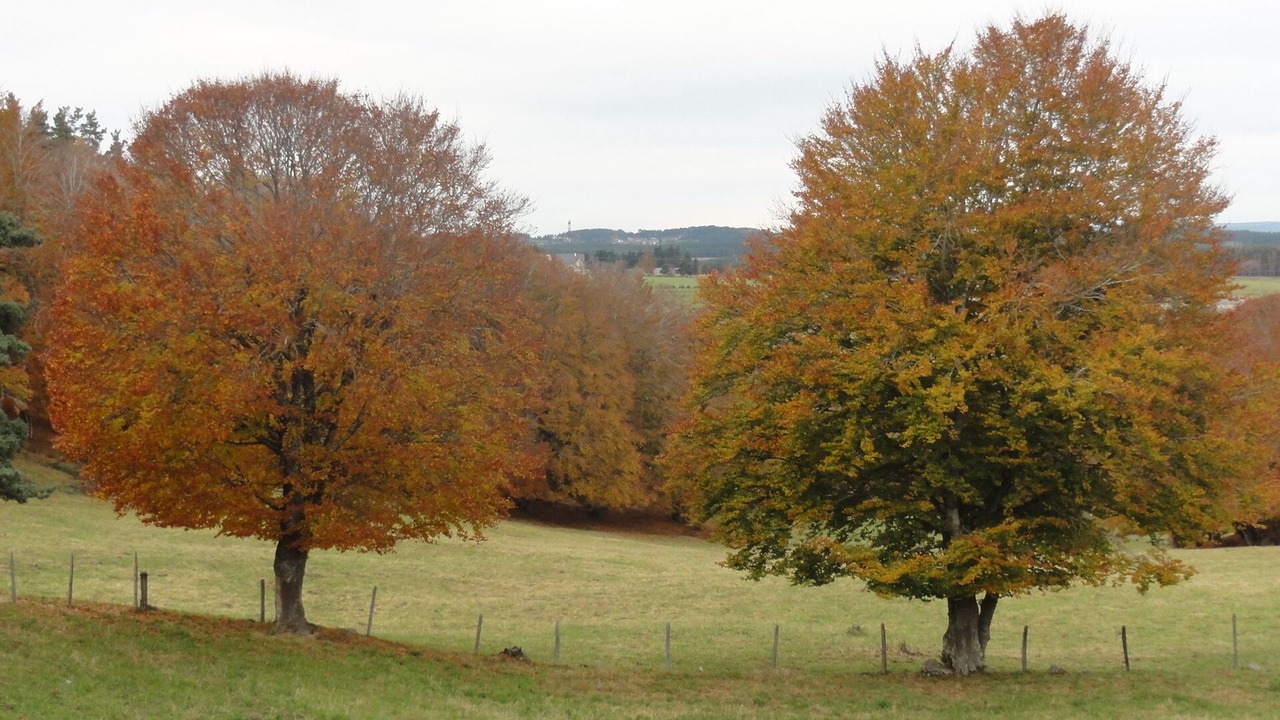 Photo of Outdoor in Le Malzieu-Forain