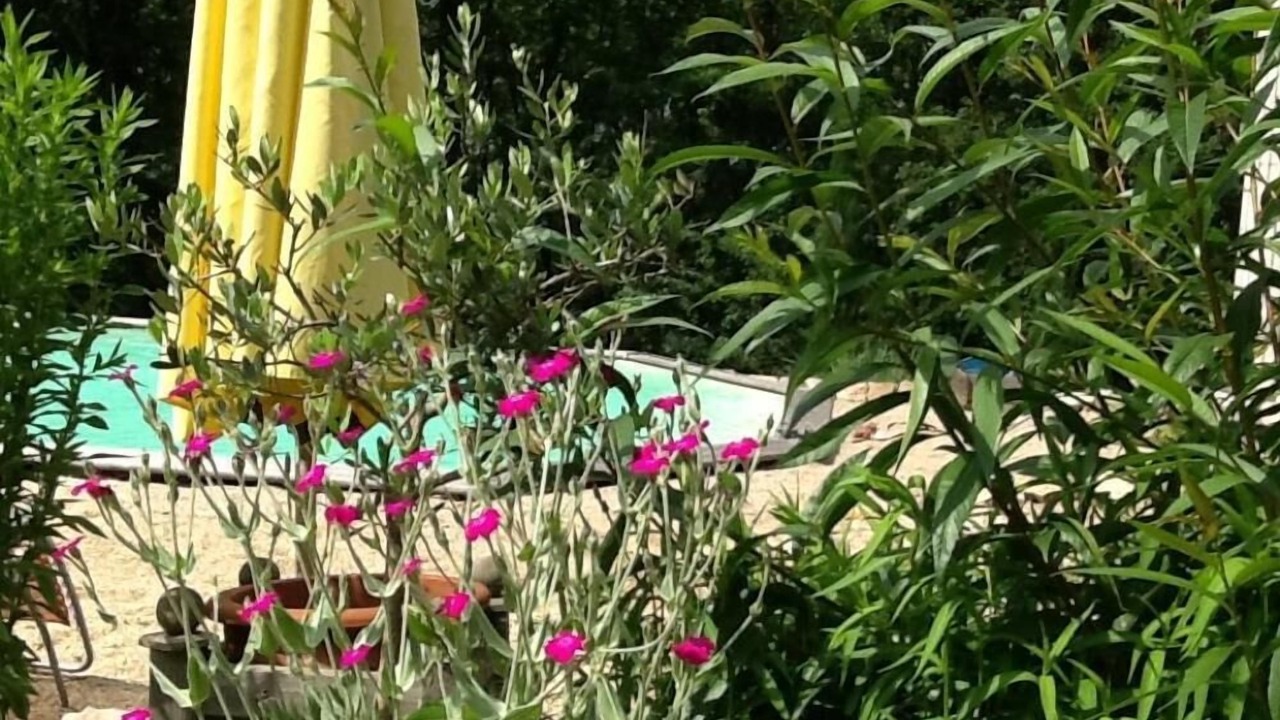 Photo of Outdoor in Puygouzon