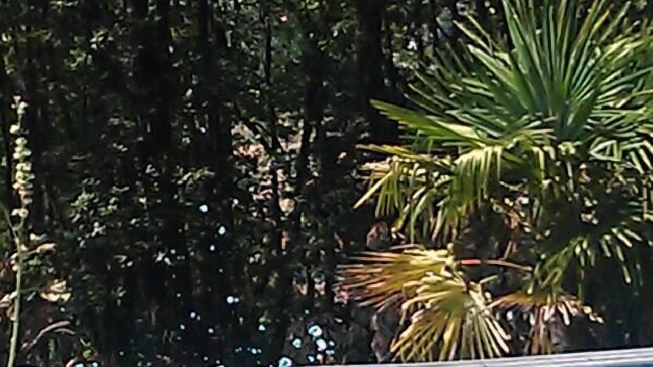 Photo of Outdoor in Puygouzon