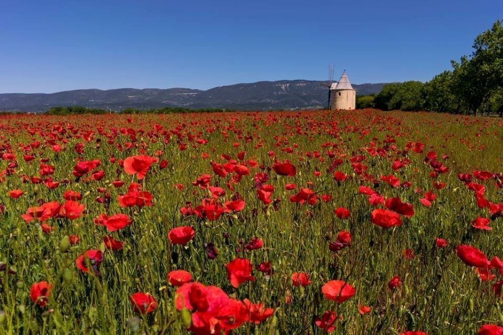 Photo of Outdoor in Roussillon