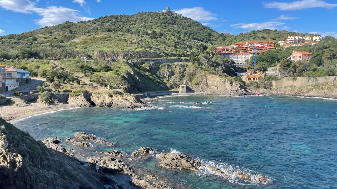 Photo of Others in Collioure