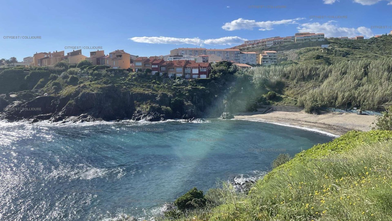 Photo of Others in Collioure