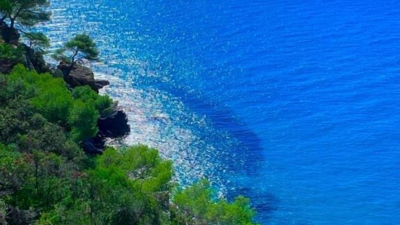 Photo of Others in Cavaliere