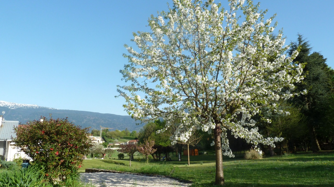 Photo of Outdoor in Brie-et-Angonnes