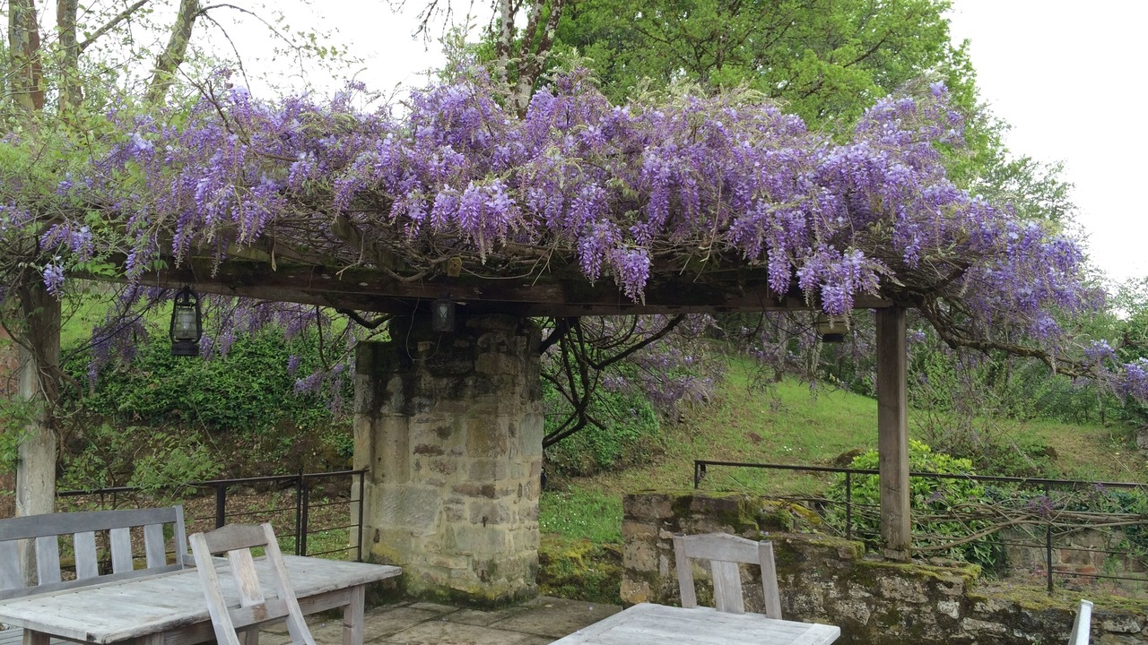 Photo of Outdoor in Capdenac-Gare