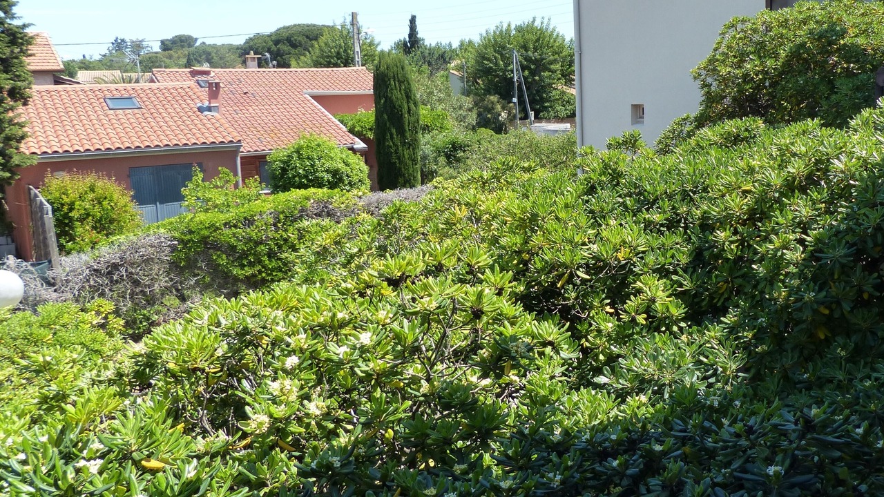 Photo of Outdoor in Le Grau-dʼAgde