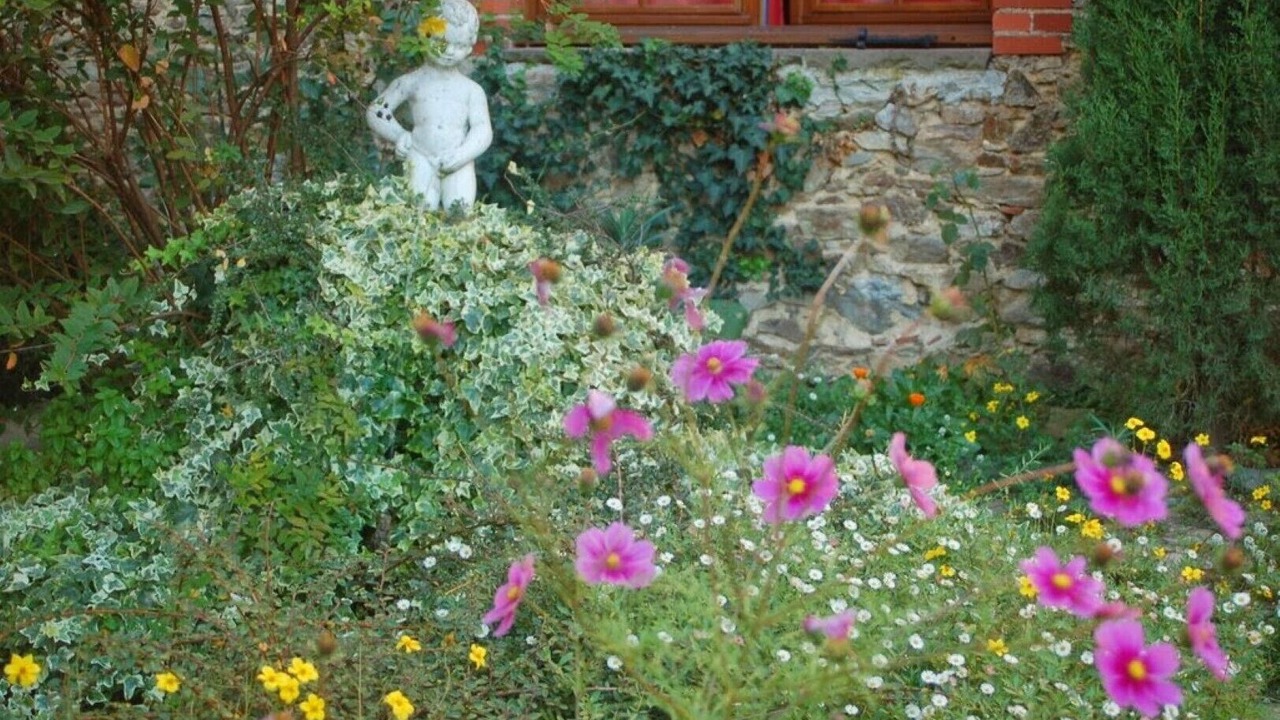 Photo of Outdoor in Le Segur
