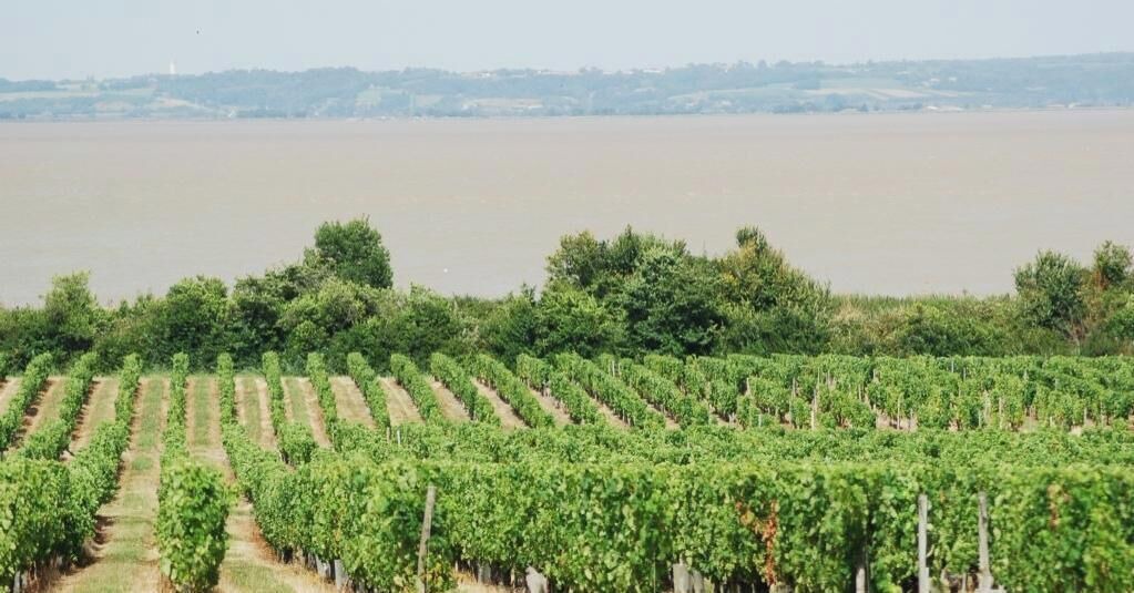 Photo of Others in Civrac-en-Medoc