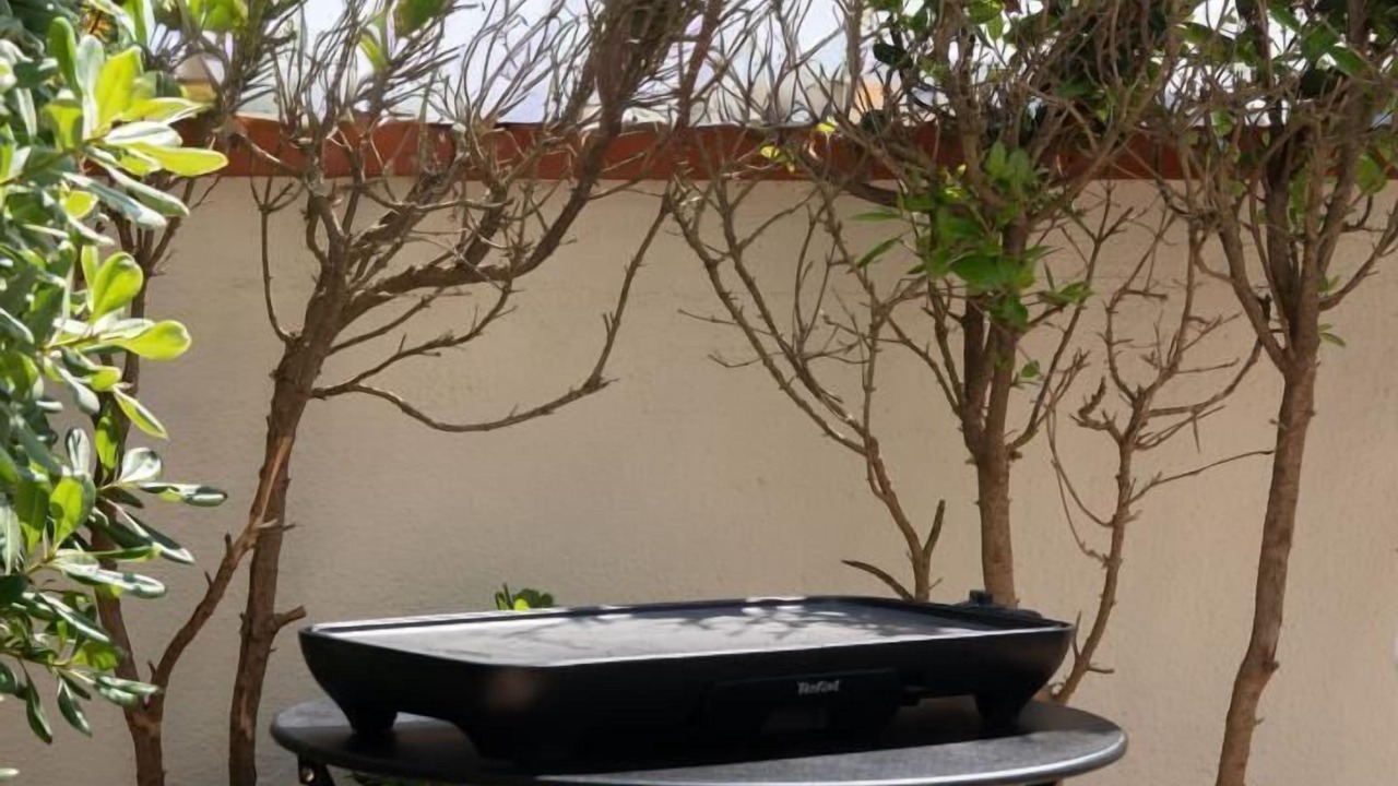 Photo of Outdoor in La Jetee