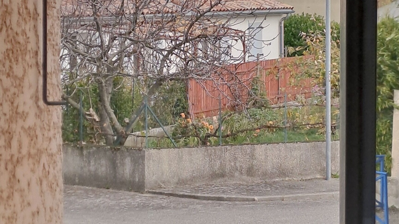 Photo of Others in Malissard