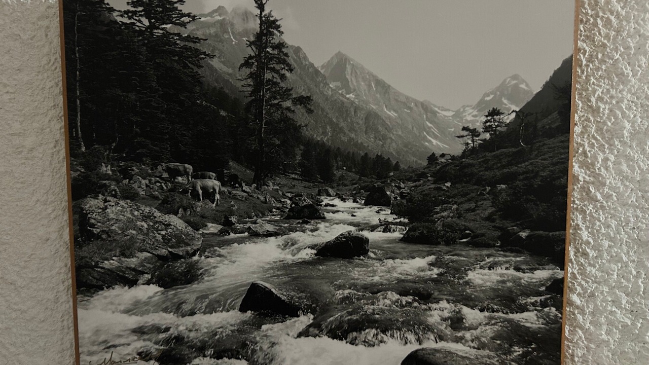 Photo of Others in Cauterets
