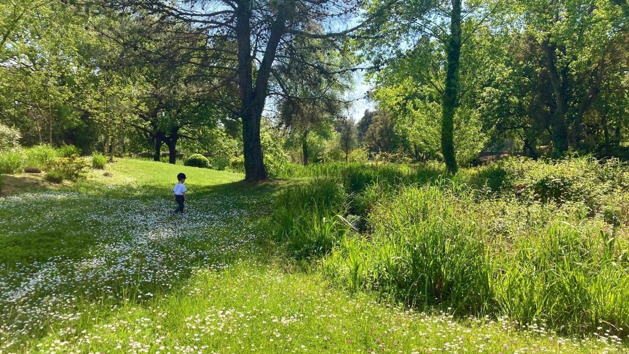 Photo of Others in Les Restanques