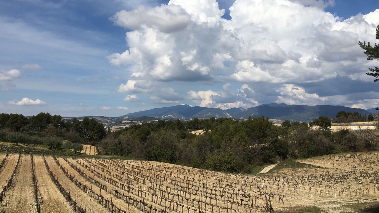 Photo of Others in Mirabel-aux-Baronnies