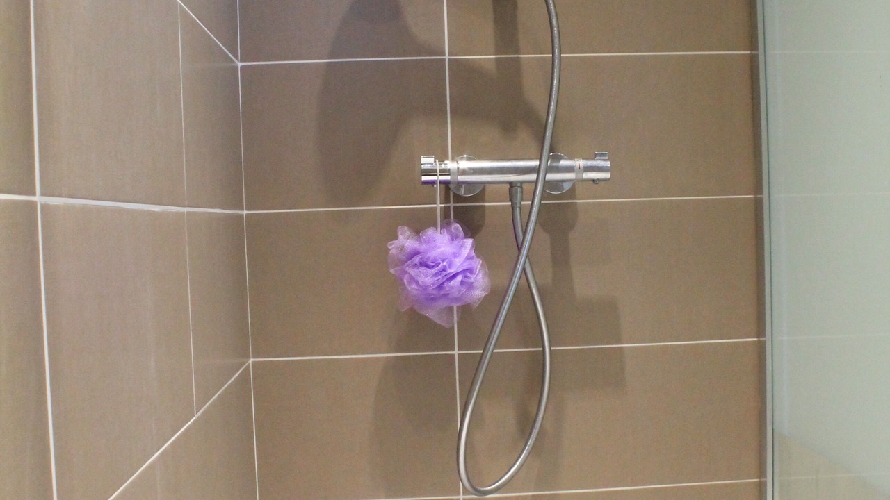 Photo of Bathroom in Oeyreluy
