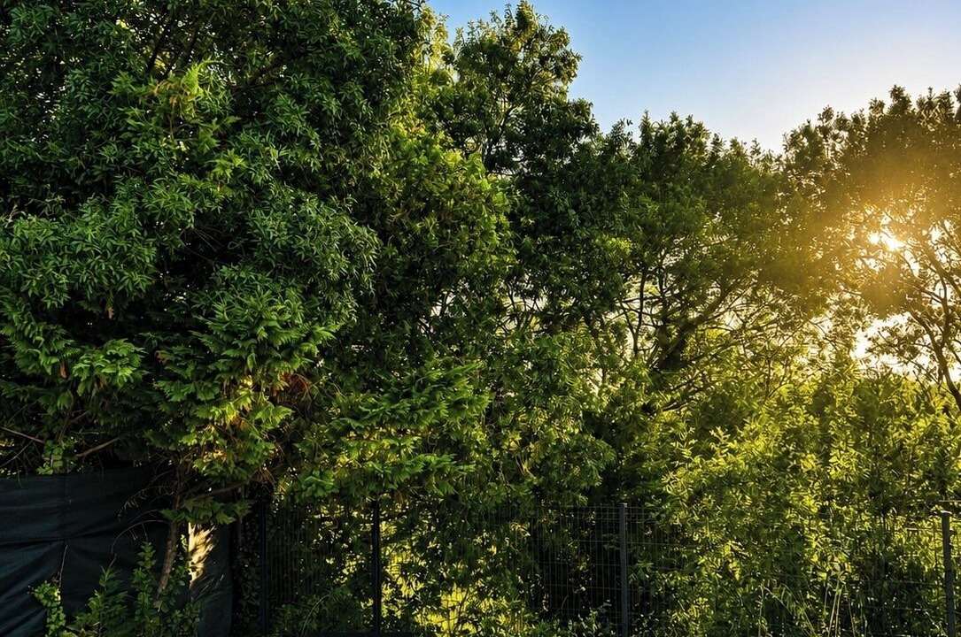 Photo of Outdoor in Ruoms