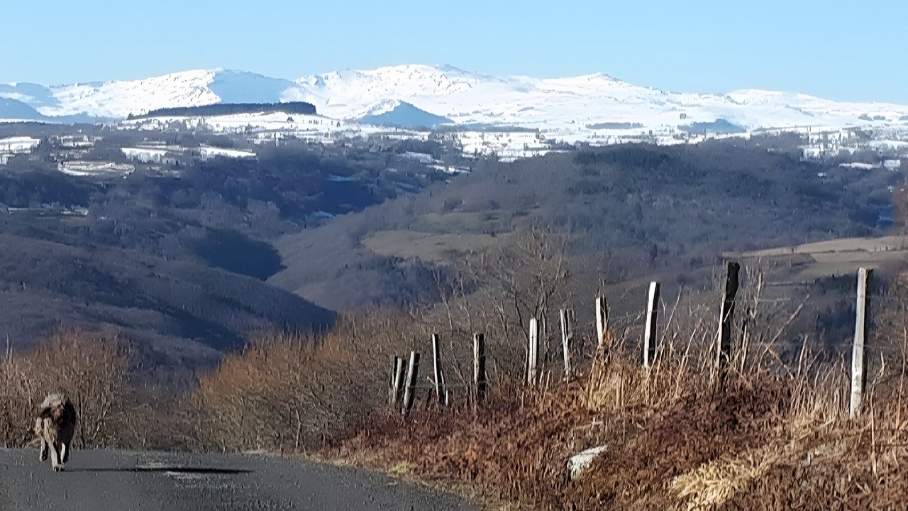 Photo of Others in Saint-Flour Agglomeration