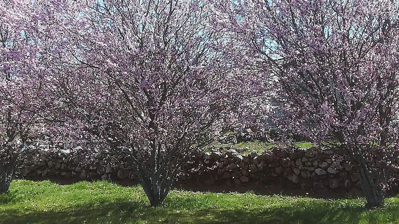 Photo of Others in Saint-Avit-de-Tardes