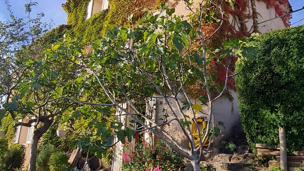 Photo of Others in La Motte-dʼAigues