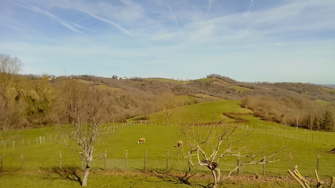 Photo of Others in Beyrie-sur-Joyeuse