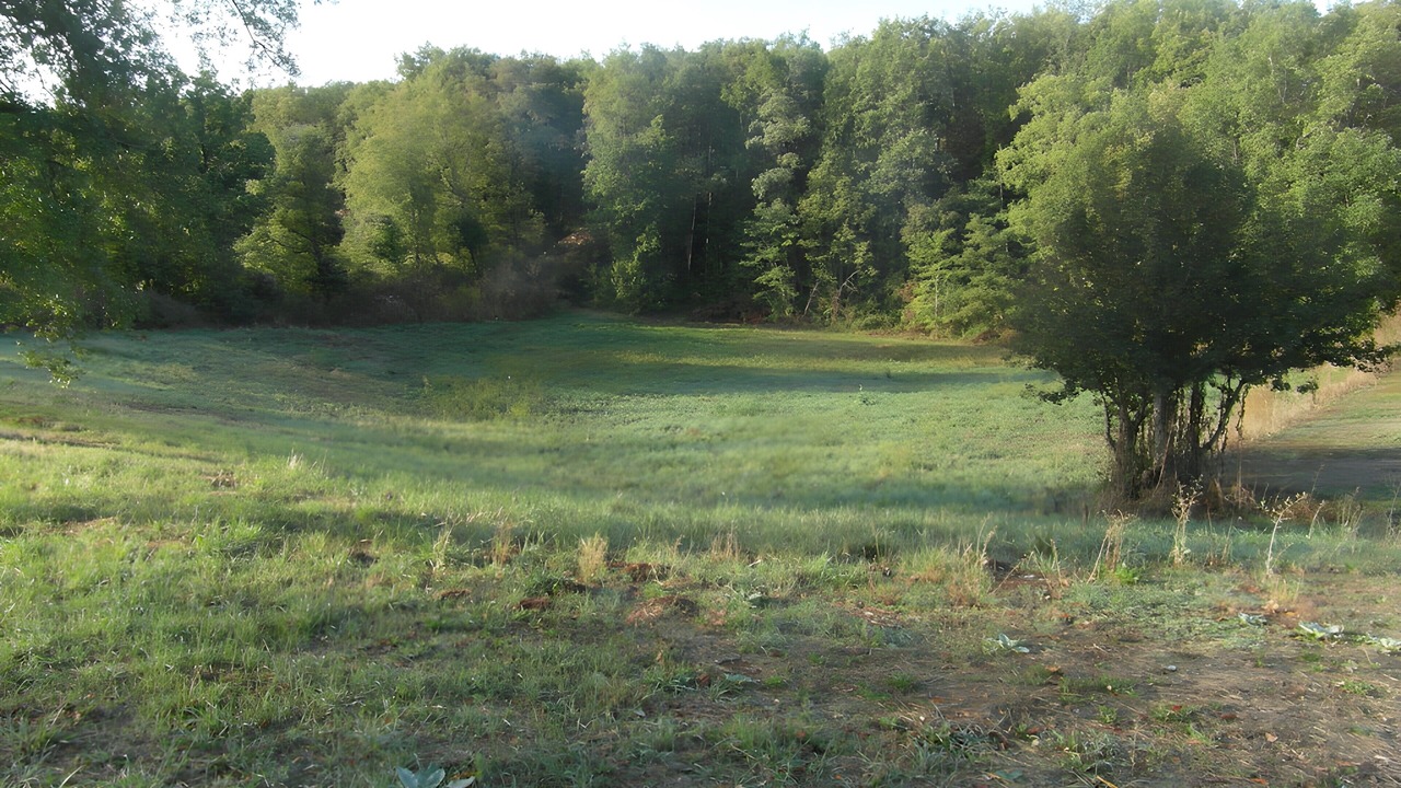Photo of Others in Carennac