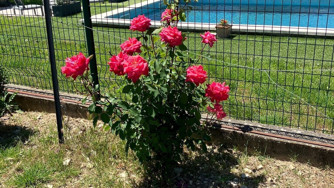 Photo of Outdoor in Brissac