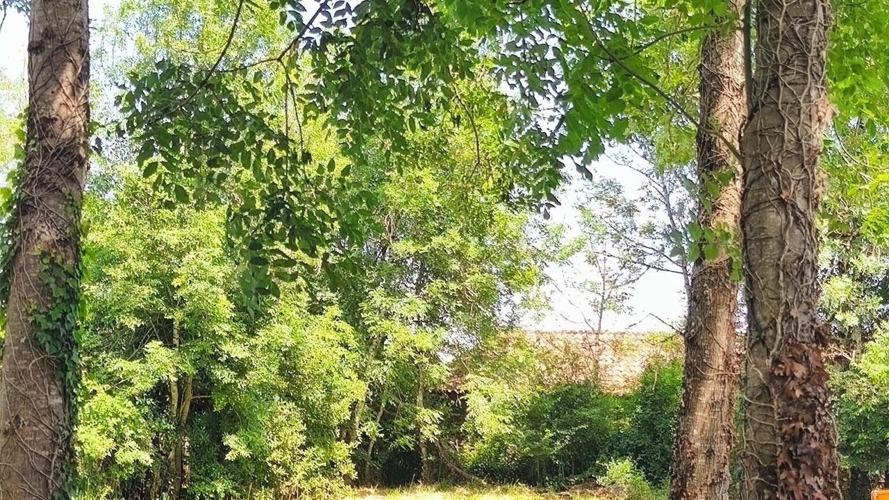 Photo of Outdoor in Trevien