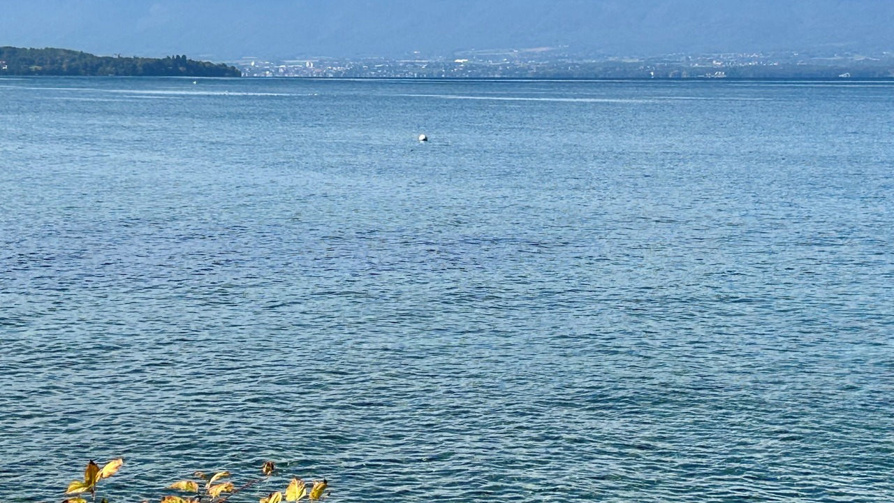 Photo of Others in Anthy-sur-Leman