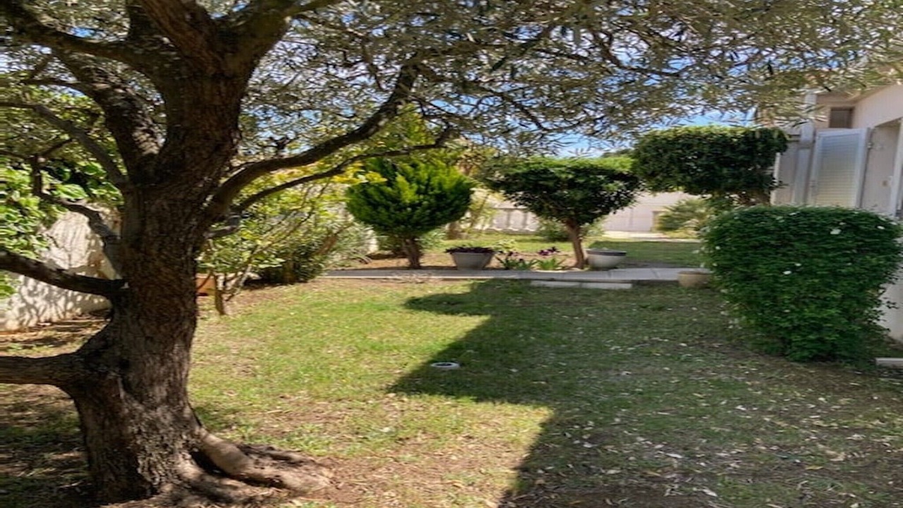 Photo of Outdoor in Perols