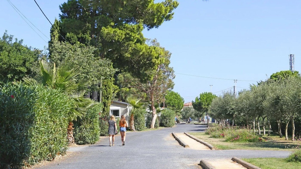 Photo of Others in Saint-Cyprien