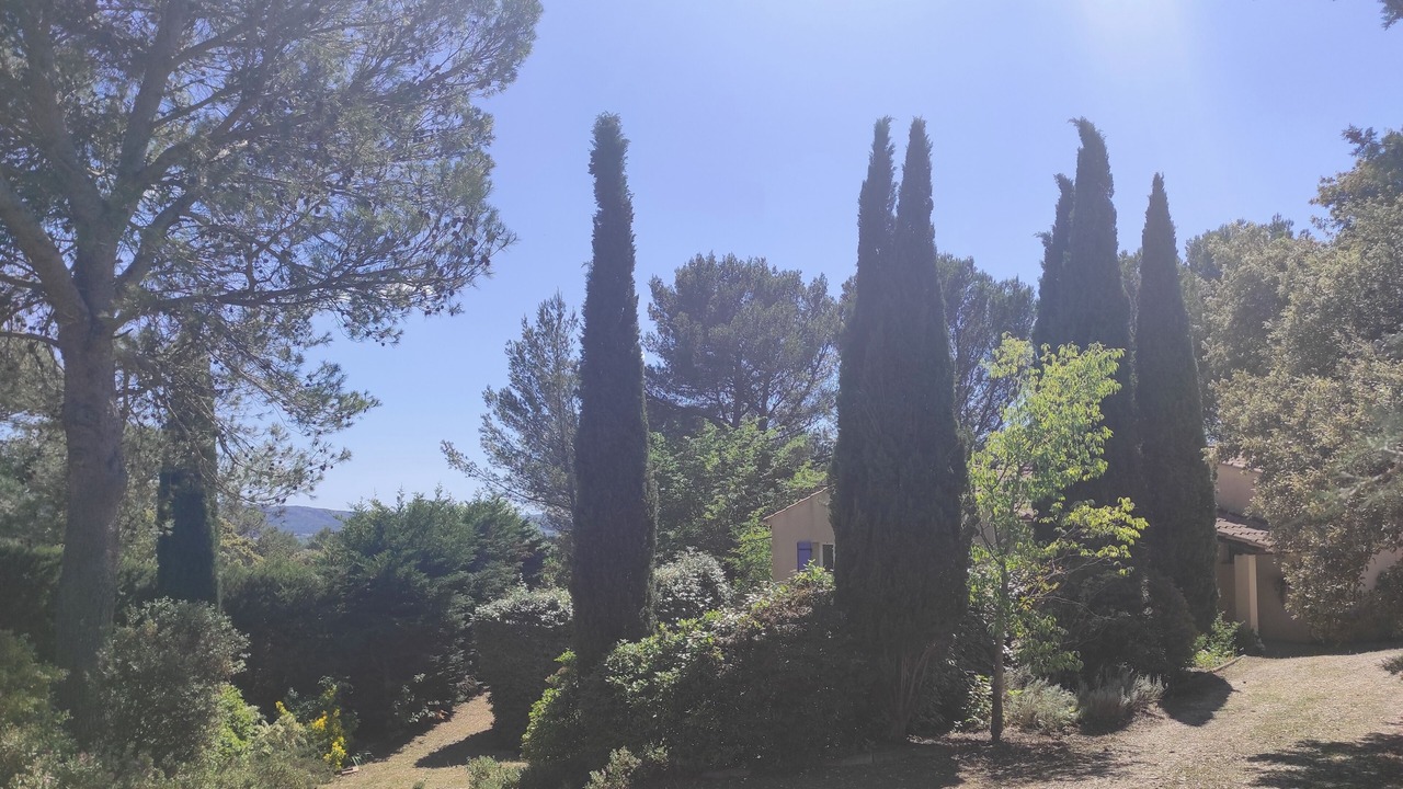 Photo of Outdoor in Puget