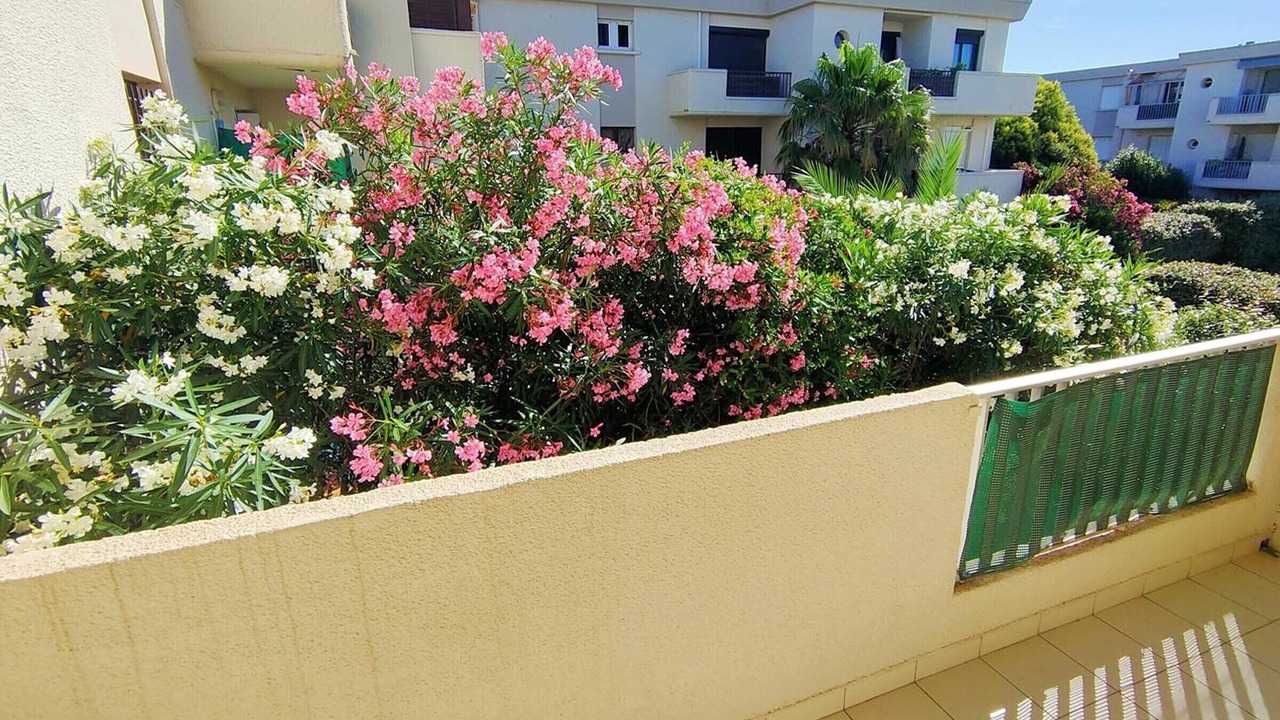 Photo of Outdoor in Les Arenes