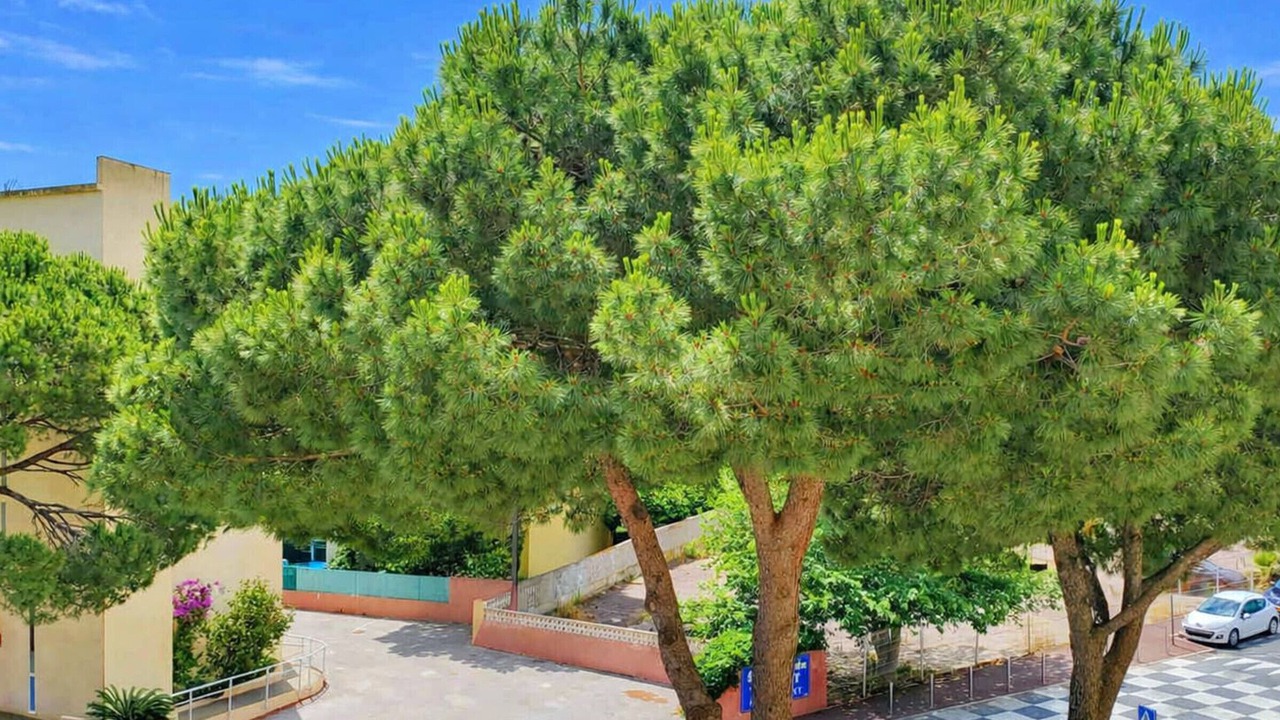 Photo of Outdoor in Le Port